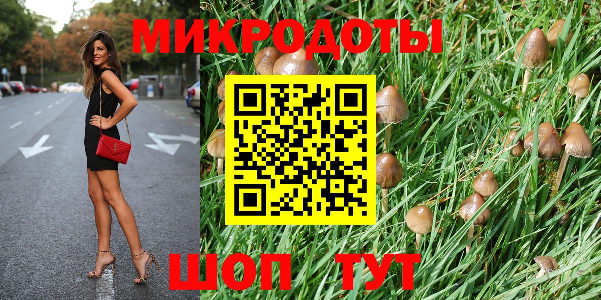 Псилоцибиновые грибы Magic Shrooms  сколько стоит  Октябрьский  Вход с VPN 