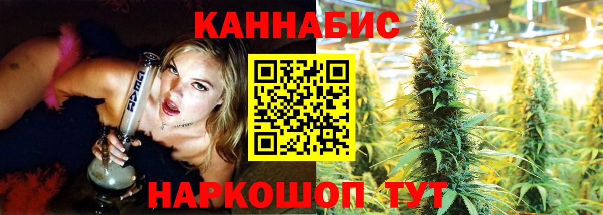 Канабис планчик Октябрьский